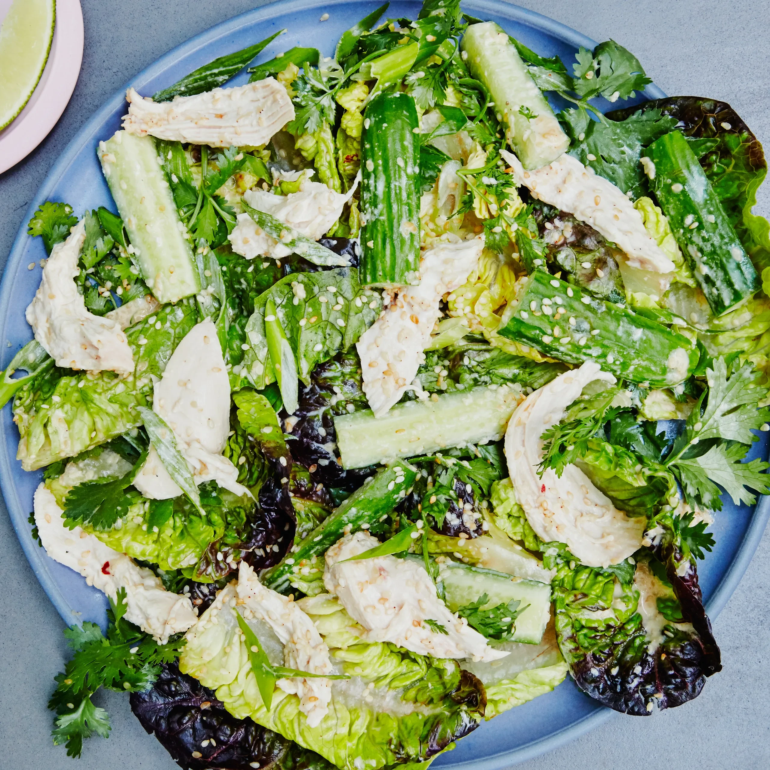 HEALTHY CHICKEN SALAD