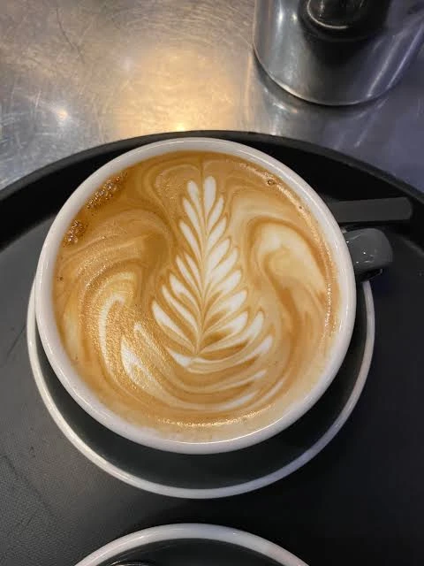CAPPUCCINO Large