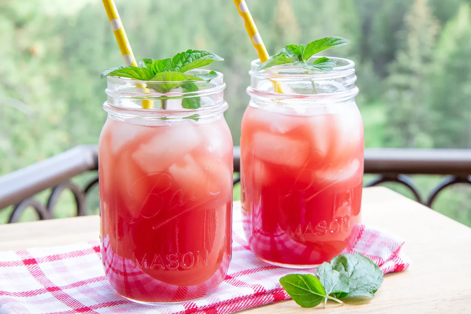 Watermelon Mojito