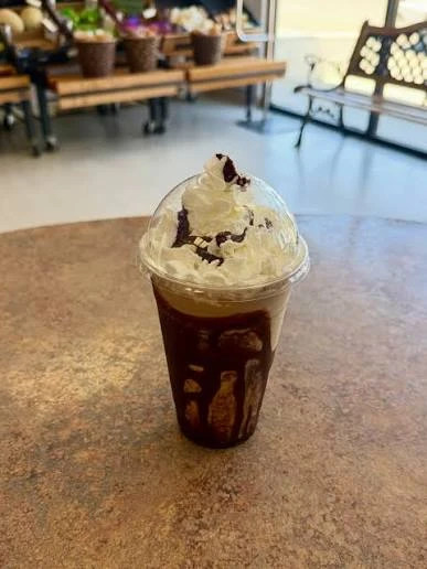 Mocha Chip Frappé